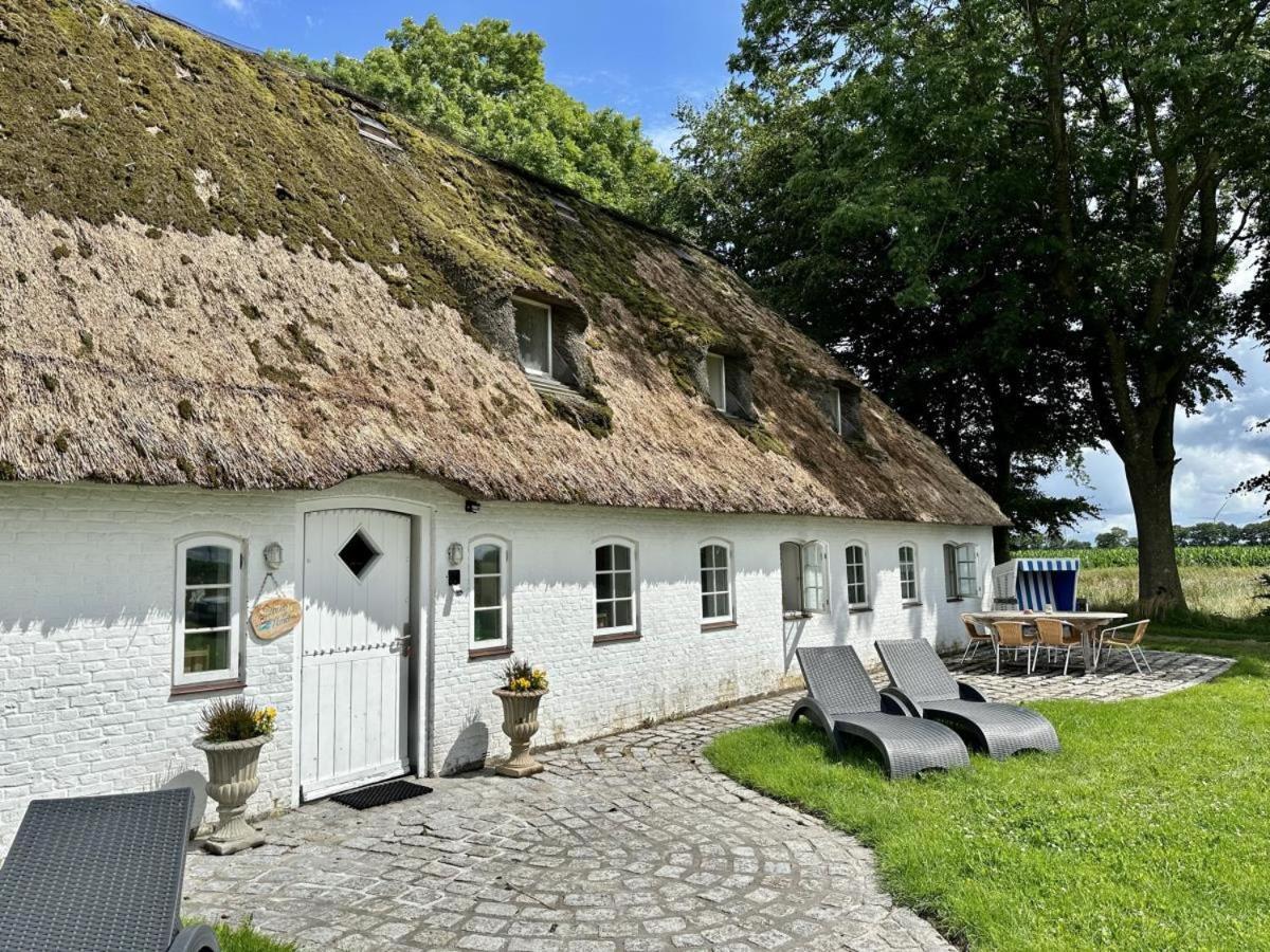 Ehemaliges Rio Reiser Haus Stadum Ngoại thất bức ảnh