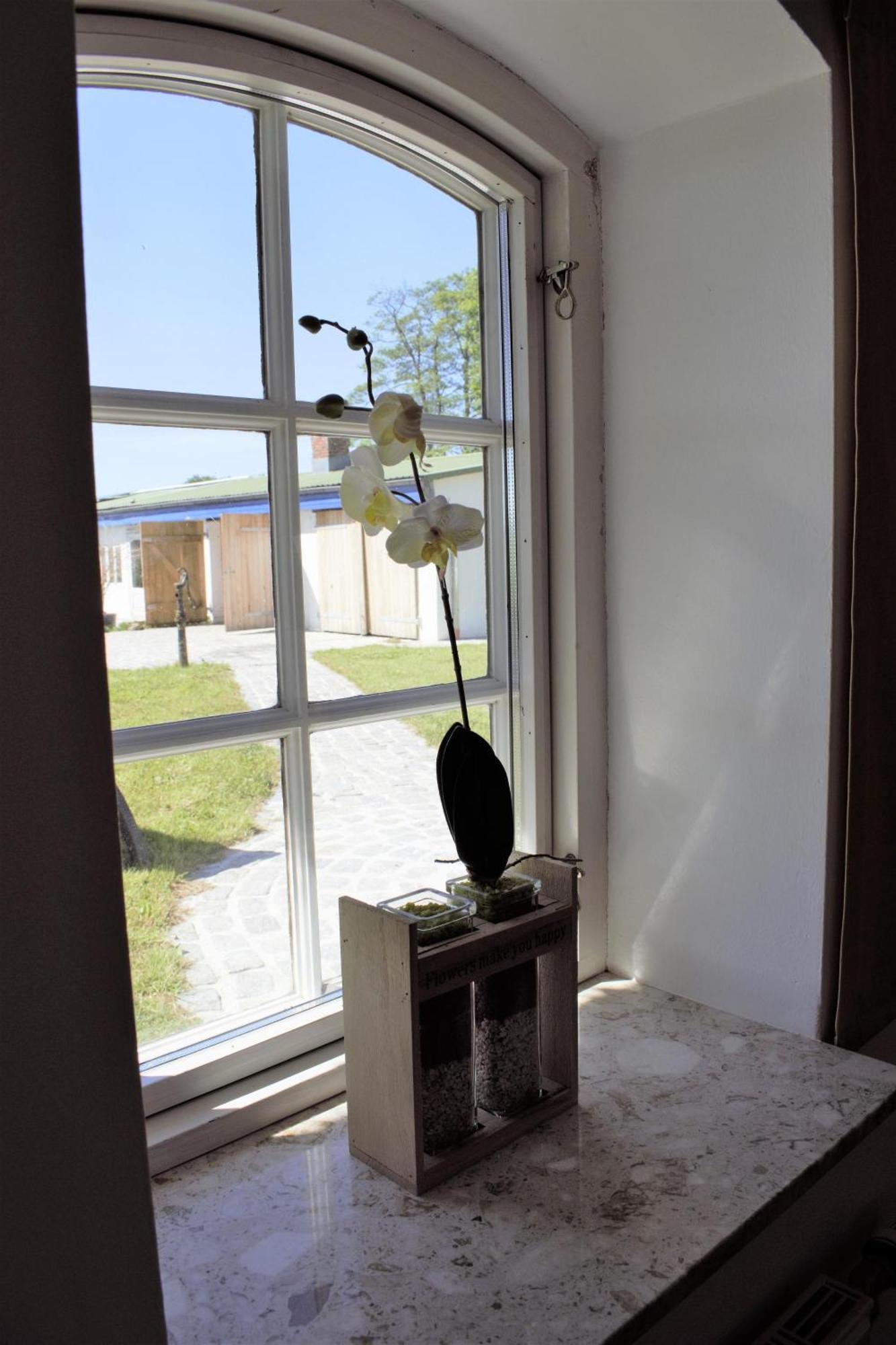 Ehemaliges Rio Reiser Haus Stadum Ngoại thất bức ảnh