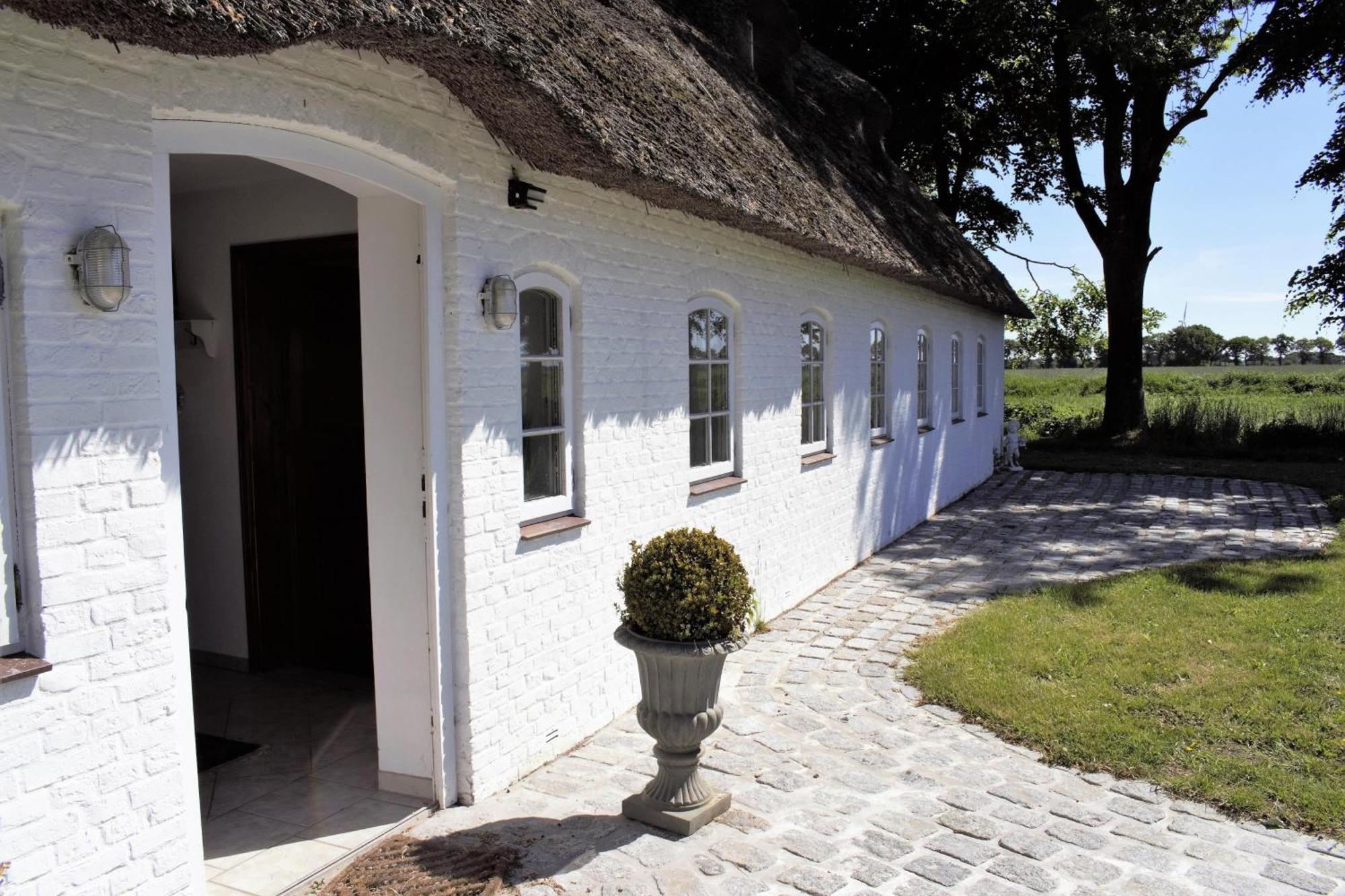 Ehemaliges Rio Reiser Haus Stadum Ngoại thất bức ảnh
